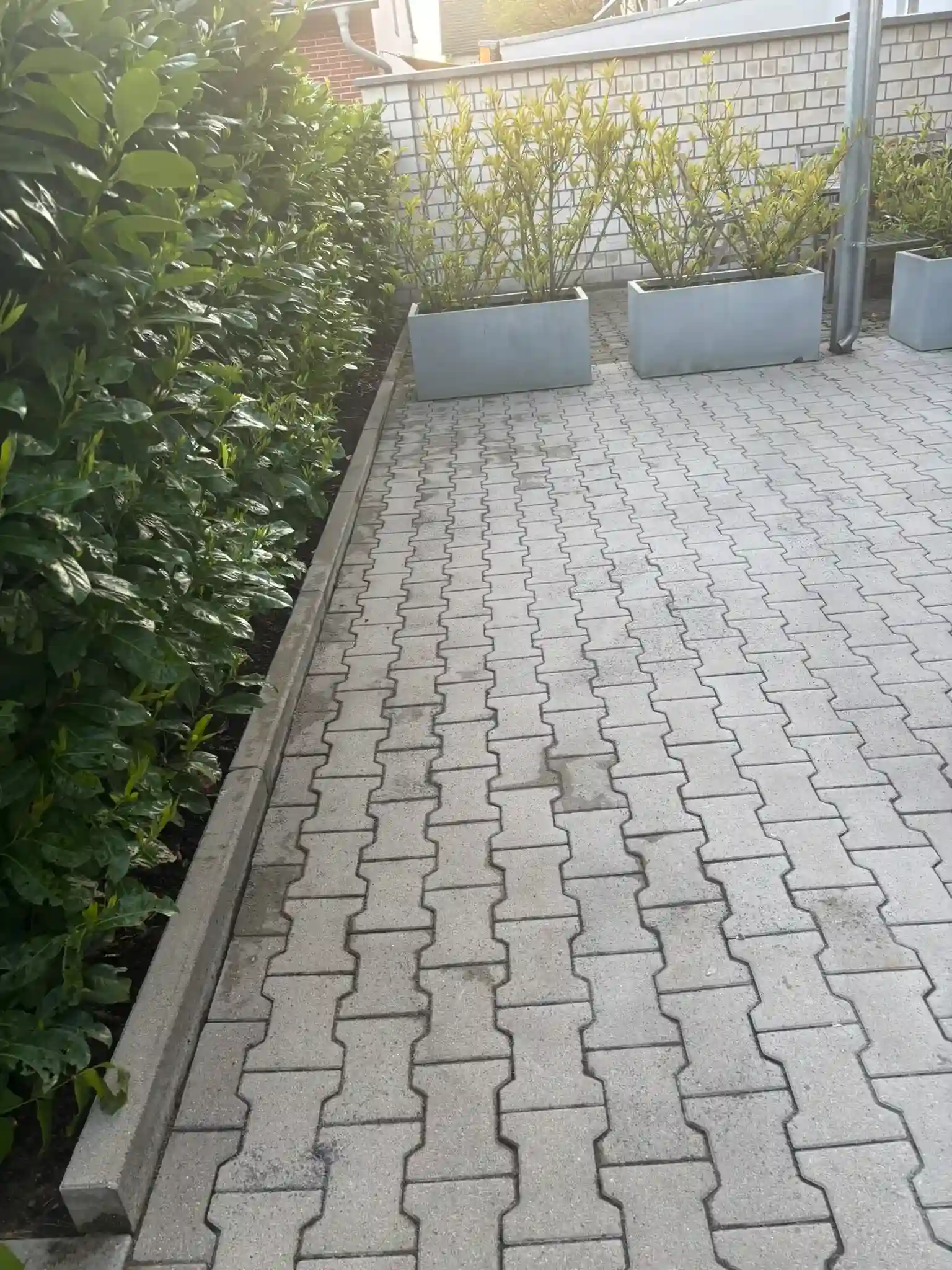 Pflasterreinigung bei Frank Spotke
